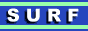 SurfGame Top 100